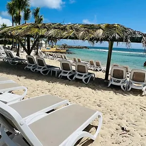  Appartement Joli T3 Avec Acces Piscine Et Guadeloupe